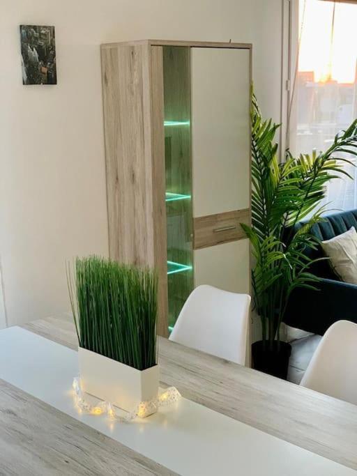 Pourquoi Notre T3 Avec Parking Est Pour Vous ? Apartment Lille Exterior foto